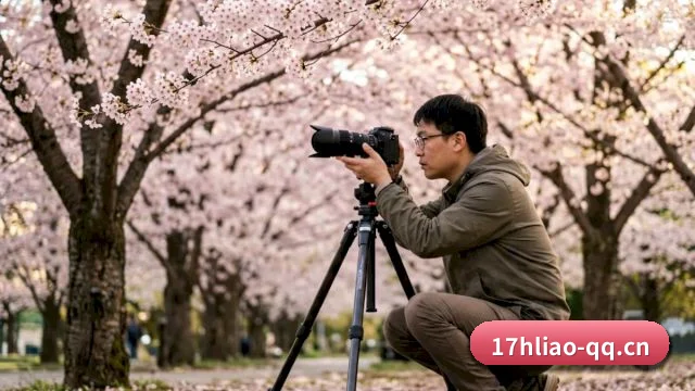 17黑料 APP